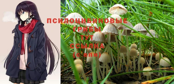 крисы Белокуриха