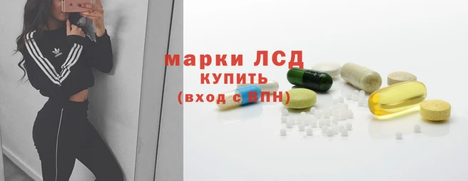 крисы Белокуриха