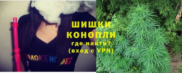 крисы Белокуриха