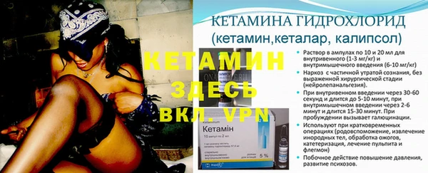крисы Белокуриха