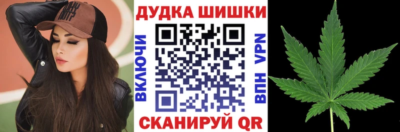 Шишки марихуана Bruce Banner  наркота  Малая Вишера 